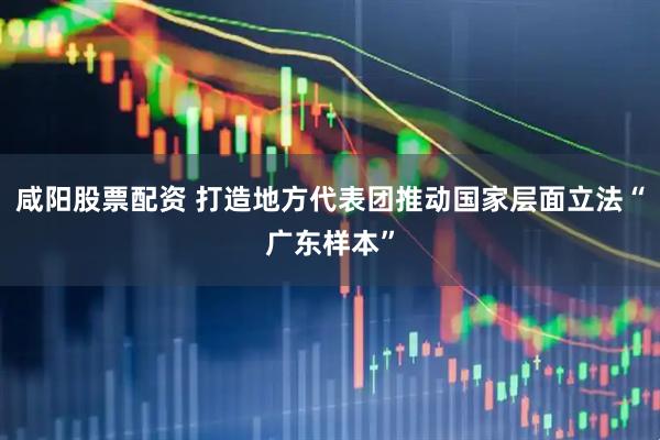 咸阳股票配资 打造地方代表团推动国家层面立法“广东样本”