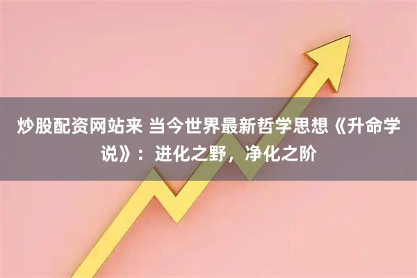 炒股配资网站来 当今世界最新哲学思想《升命学说》：进化之野，净化之阶